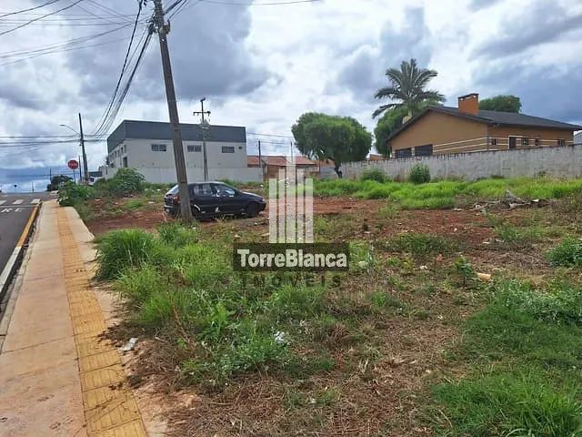 Terreno com 570m², à venda, no bairro Cará-Cará em Ponta Grossa