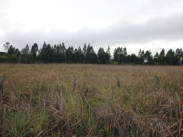 Terreno à venda, no bairro Jardim Primavera em Piraquara