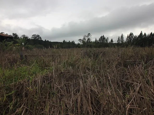 Terreno à venda, no bairro Jardim Primavera em Piraquara
