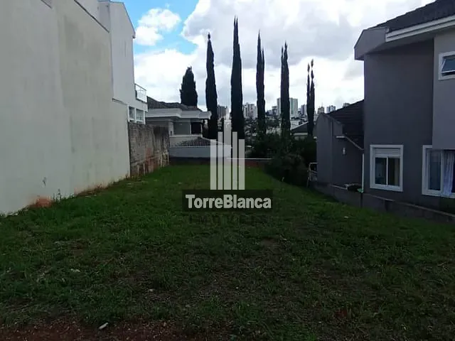 Terreno com 300m², à venda, no bairro Oficinas em Ponta Grossa