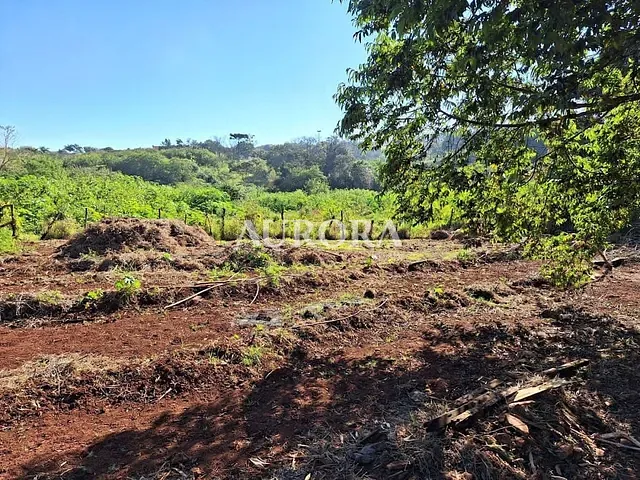 Terreno com 3054m², à venda, no bairro Ouro Verde em Londrina