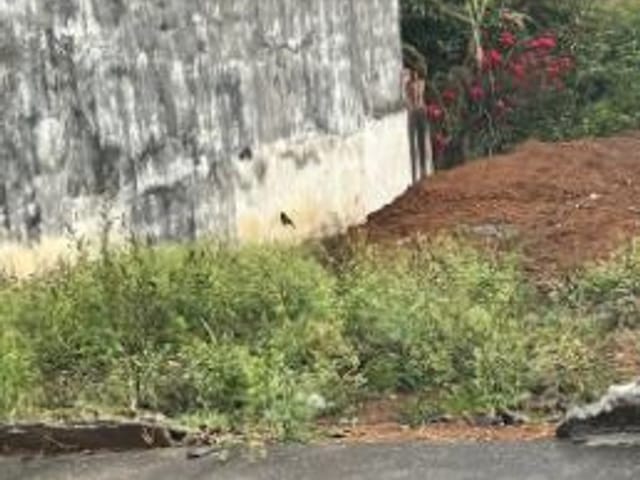 Foto do Terreno - Terreno à venda, 138 m² por R$ 145.000,00 - Vila Das Flores - São José dos Campos/SP | INDEPENDENCE NEGOCIOS IMOBILIARIOS LTDA