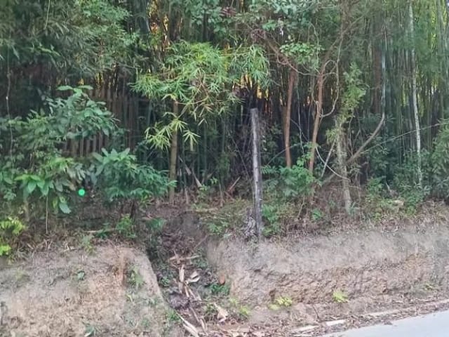 Terreno com 19658m², à venda, no bairro Parque Esplanada do Embu em Embu das Artes