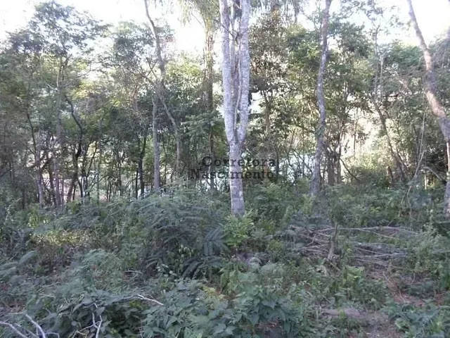 Terreno com 1036m², à venda, no bairro Costao em Santa Branca