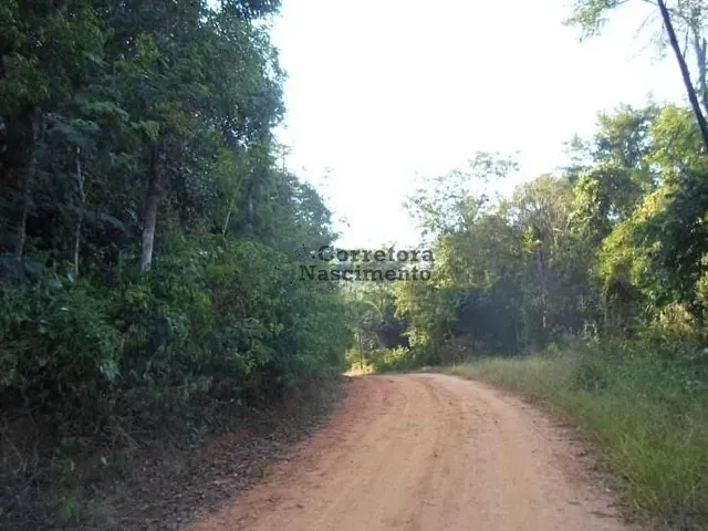 Terreno com 1036m², à venda, no bairro Costao em Santa Branca