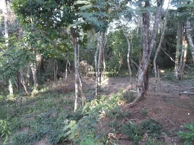 Terreno com 1048m², à venda, no bairro Costao em Santa Branca