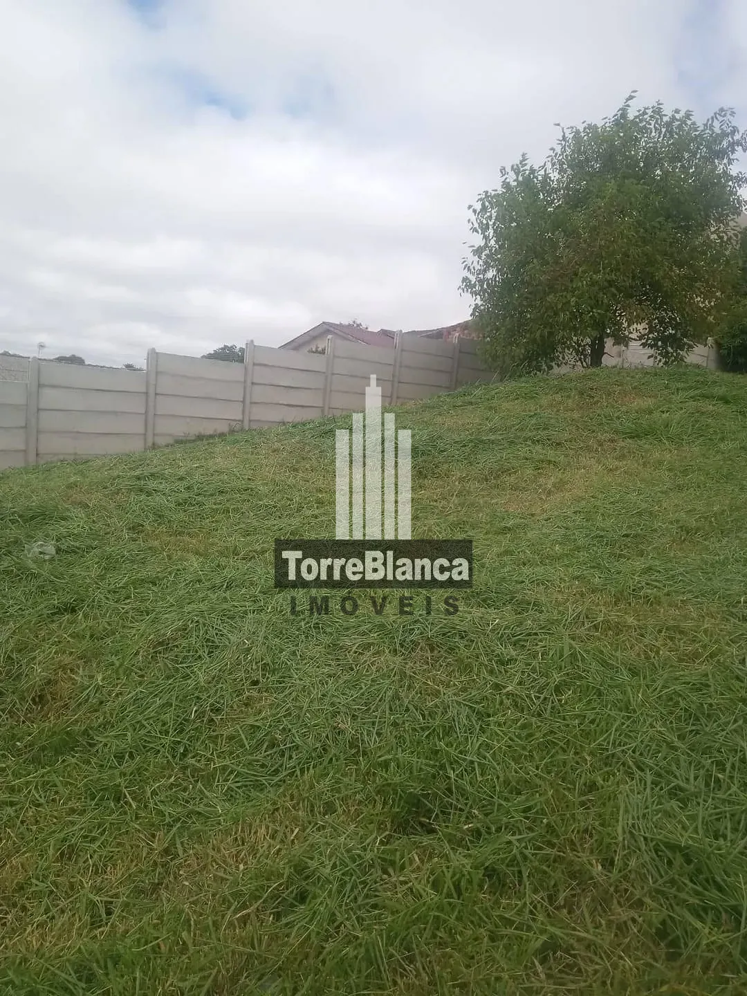 Terreno, 462 m² - Foto 7