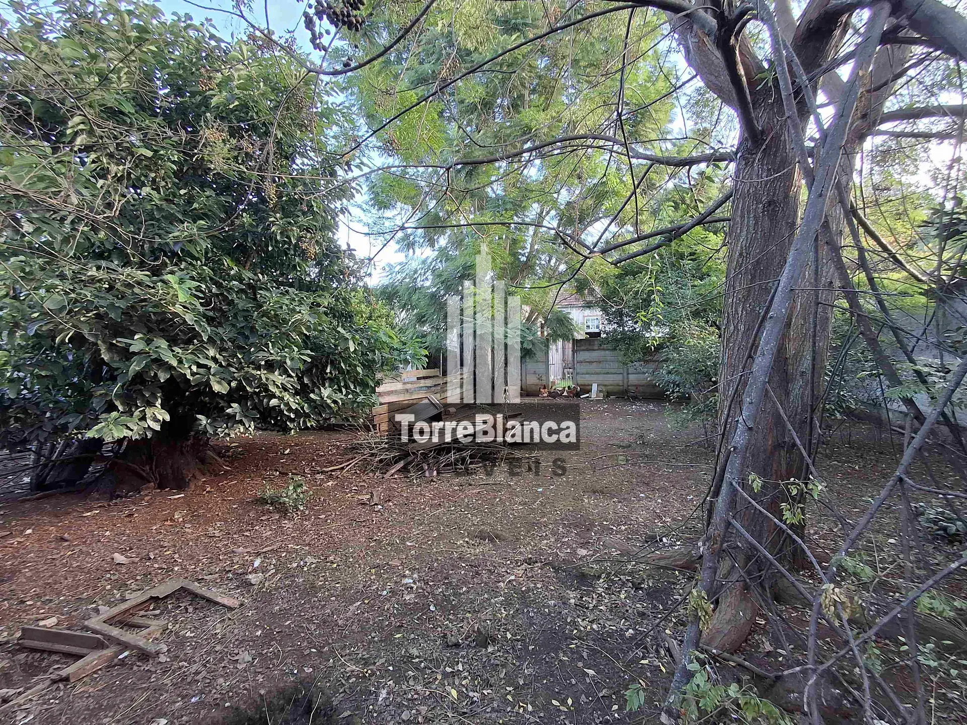 Terreno, 490 m² - Foto 10