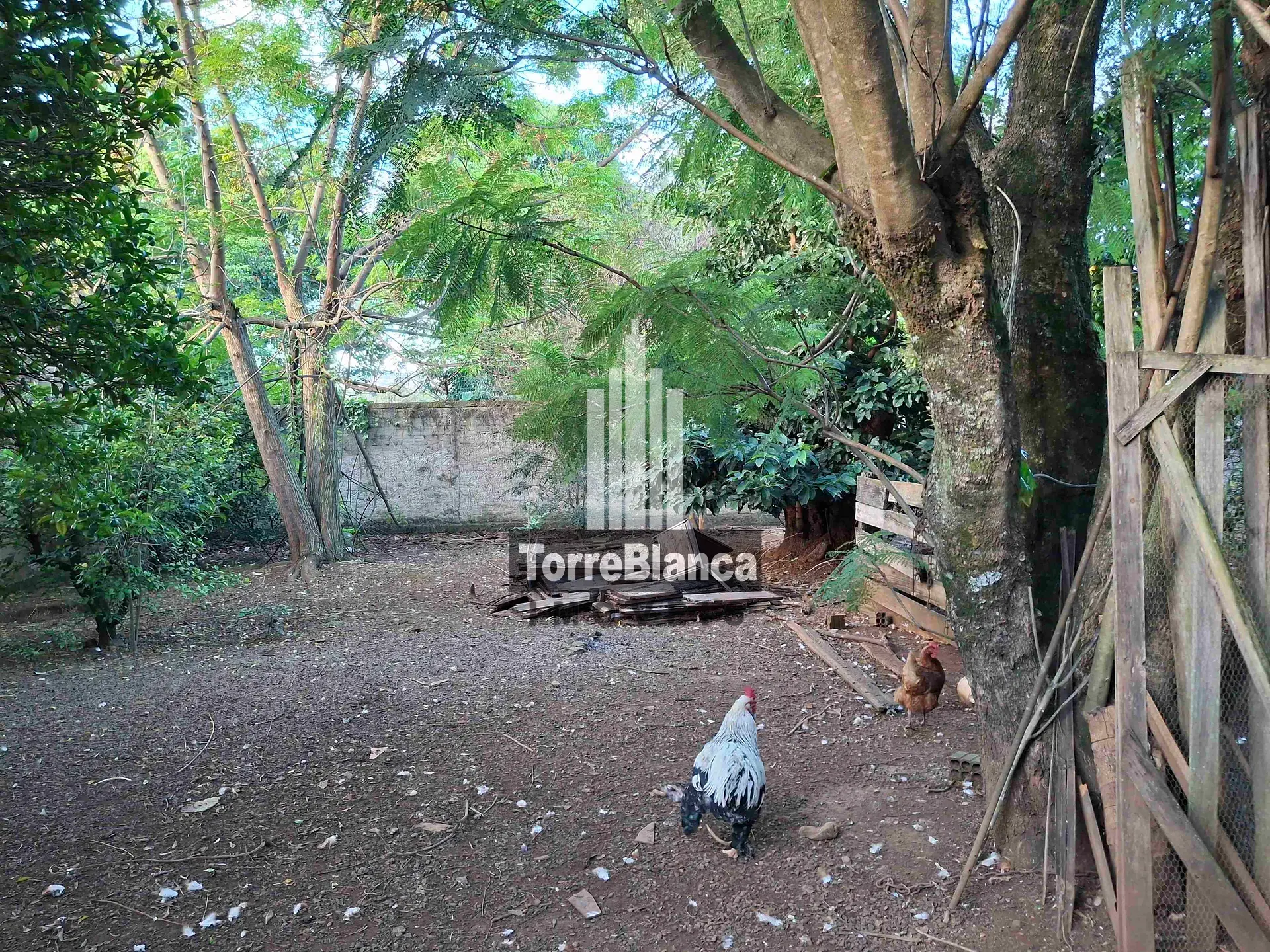 Terreno, 490 m² - Foto 9