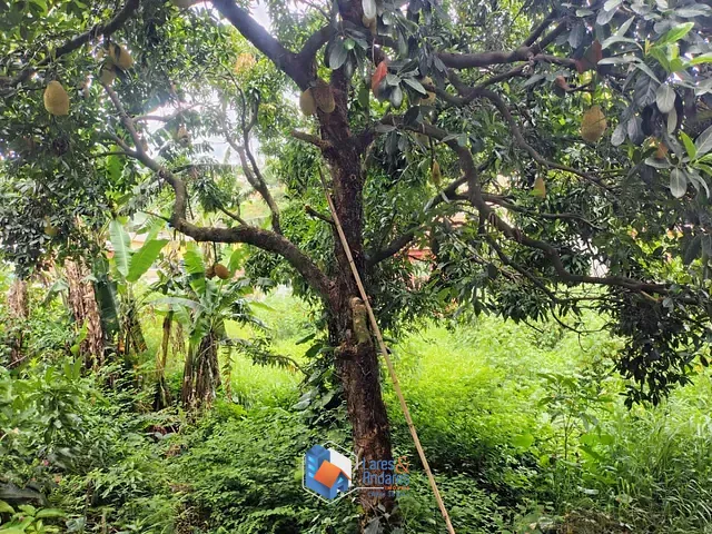 Terreno com 807m², à venda, no bairro Jardim Regina Alice em Barueri