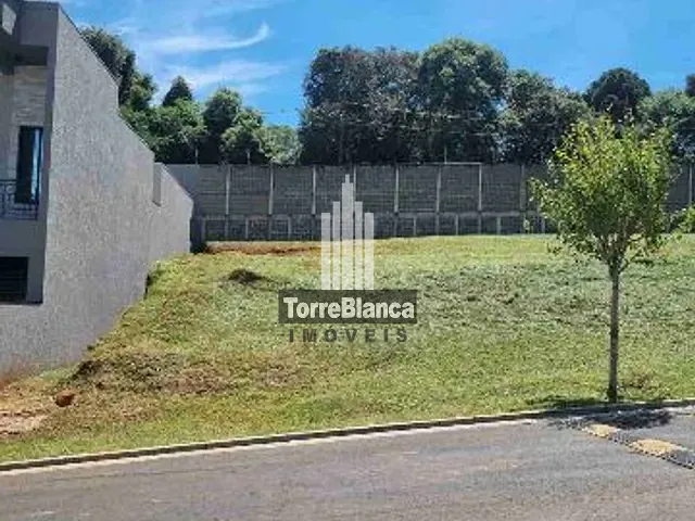 Terreno com 300m², à venda, no bairro Colônia Dona Luiza em Ponta Grossa