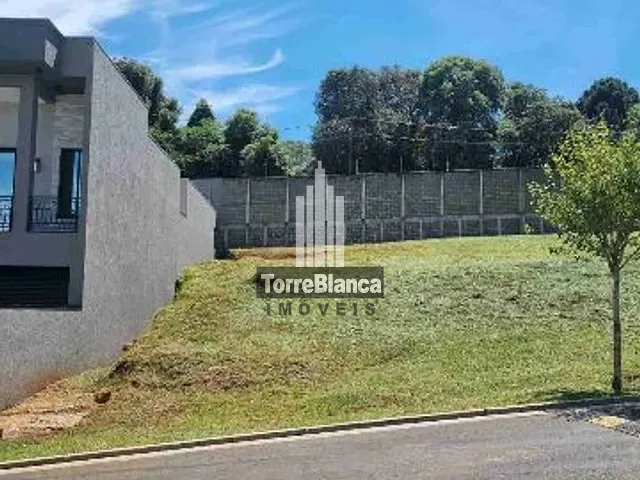 Terreno com 300m², à venda, no bairro Colônia Dona Luiza em Ponta Grossa