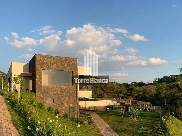Terreno com 300m², à venda, no bairro Colônia Dona Luiza em Ponta Grossa