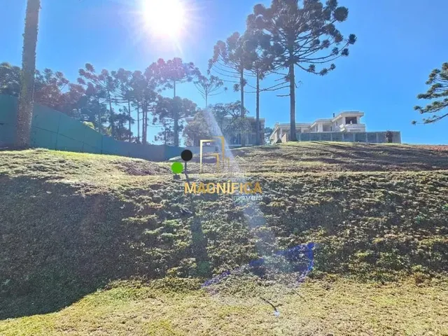 Terreno 1 quarto e 1 banheiro, à venda, no bairro Augusta em Curitiba