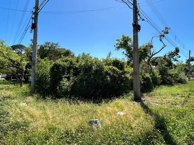 Foto do Terreno - Terreno à venda no Laranjal, Pelotas: 600 m² (20x30), ideal para construir seu projeto dos sonhos. | UP Imóveis