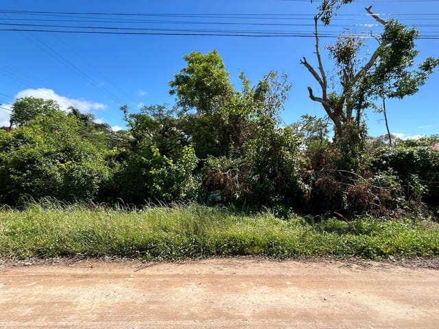 Foto do Terreno - Terreno à venda no Laranjal, Pelotas: 600 m² (20x30), ideal para construir seu projeto dos sonhos. | UP Imóveis