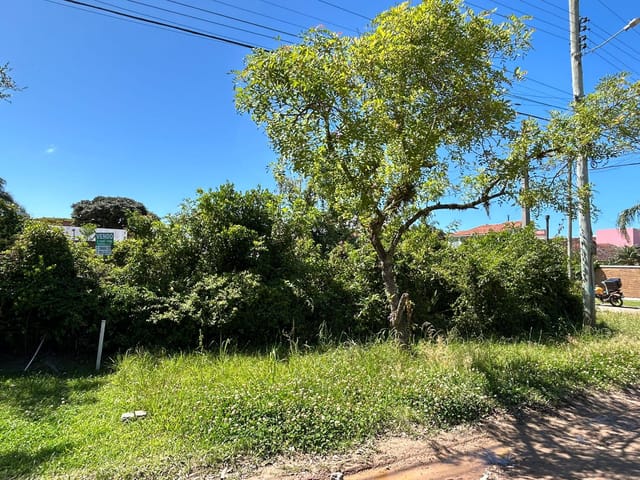Foto do Terreno - Terreno à venda no Laranjal, Pelotas: 600 m² (20x30), ideal para construir seu projeto dos sonhos. | UP Imóveis