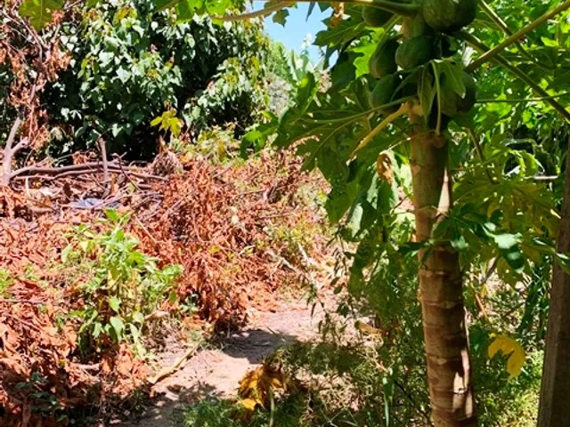 Terreno com 330m², à venda, no bairro Cidade Nova em Pindamonhangaba