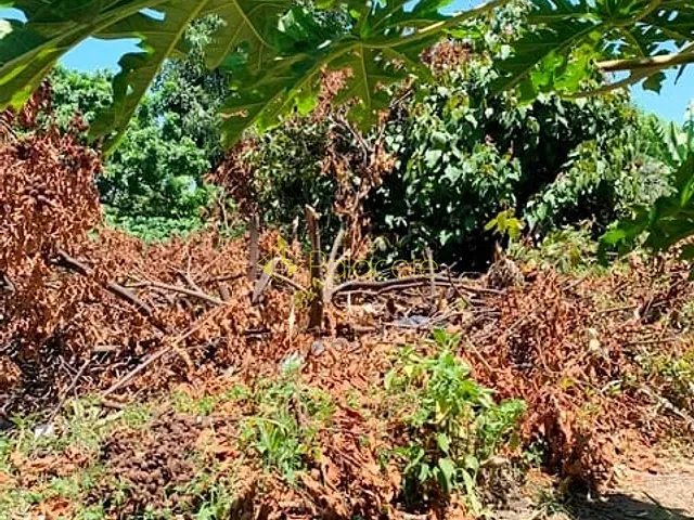 Terreno com 330m², à venda, no bairro Cidade Nova em Pindamonhangaba