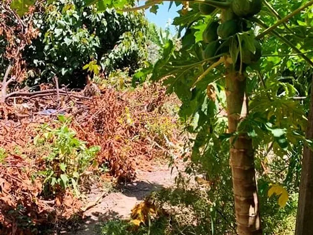 Terreno com 330m², à venda, no bairro Cidade Nova em Pindamonhangaba