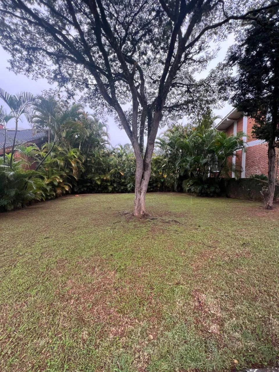 Terreno em Alphaville — foto 3