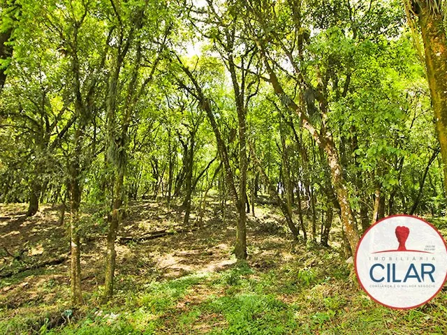 Terreno à venda, no bairro Lamenha Grande em Almirante Tamandaré