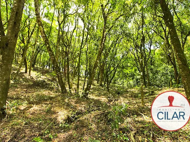 Terreno à venda, no bairro Lamenha Grande em Almirante Tamandaré