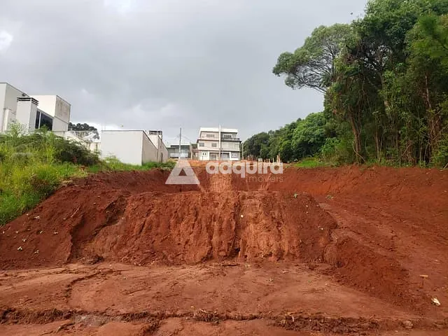 Terreno com 462m², à venda, no bairro Estrela em Ponta Grossa