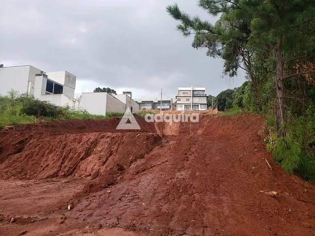 Terreno com 462m², à venda, no bairro Estrela em Ponta Grossa