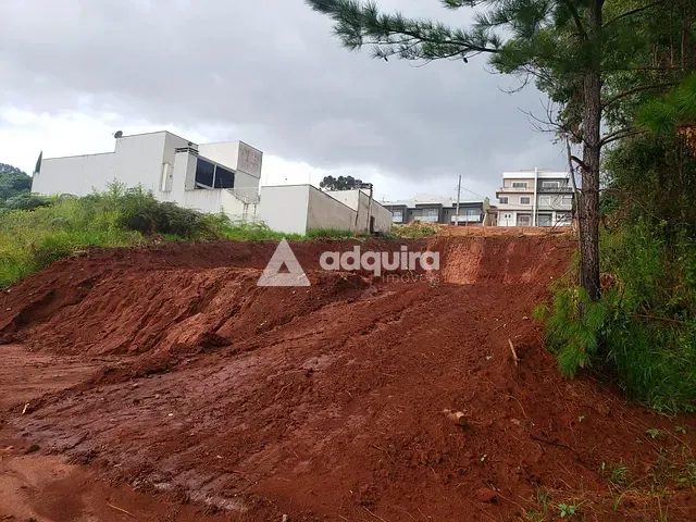 Terreno com 462m², à venda, no bairro Estrela em Ponta Grossa