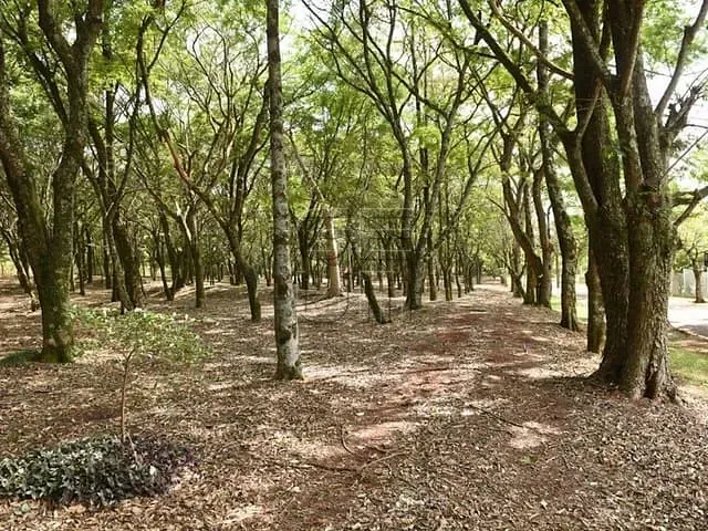 Terreno com 2500m², à venda, no bairro Jardim União em Cambé
