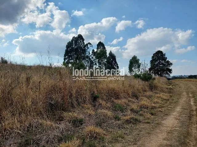 Terreno à venda, no bairro Centro em Ponta Grossa