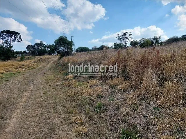 Terreno à venda, no bairro Centro em Ponta Grossa