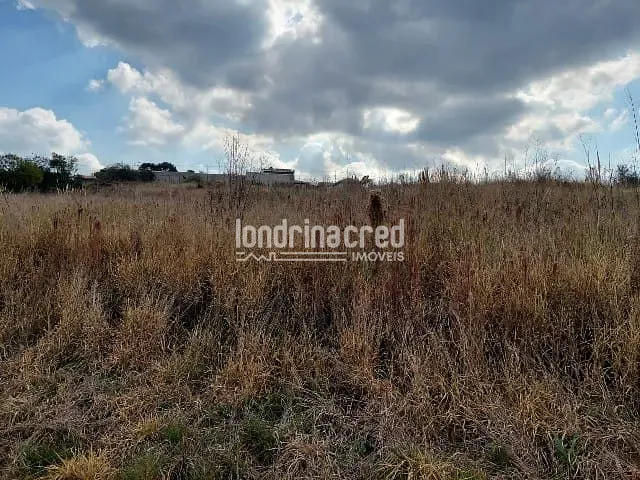 Terreno à venda, no bairro Centro em Ponta Grossa