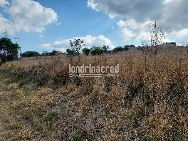 Terreno à venda, no bairro Centro em Ponta Grossa