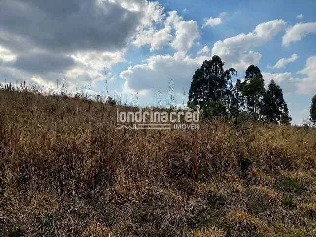 Terreno à venda, no bairro Centro em Ponta Grossa