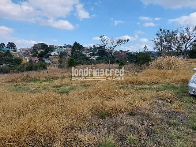 Terreno, 10 m² - Foto 6