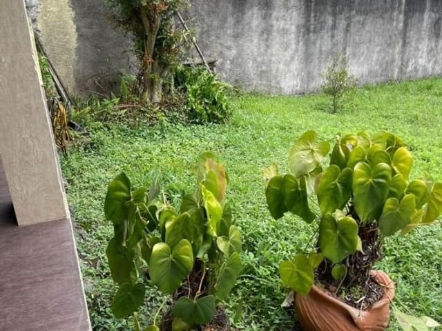 Foto do Terreno - Terreno à venda 325M², Cidade Líder, São Paulo - SP | ZONA LESTE IMÓVEIS