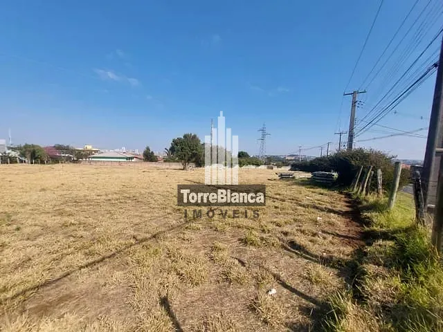 Terreno com 610m², para alugar, no bairro Boa Vista em Ponta Grossa