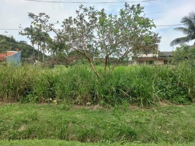 Foto do Terreno - Terreno à venda, 402 m² por R$ 290.000,00 - Massaguaçu - Caraguatatuba/SP | INDEPENDENCE NEGOCIOS IMOBILIARIOS LTDA