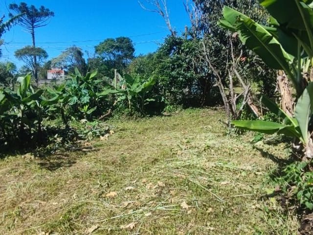 Terreno com 200m², à venda, no bairro Jardim San Ressore (Caucaia do Alto) em Cotia