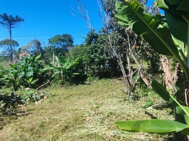Terreno com 200m², à venda, no bairro Jardim San Ressore (Caucaia do Alto) em Cotia