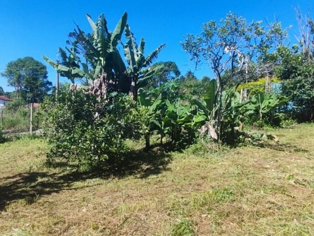 Terreno com 200m², à venda, no bairro Jardim San Ressore (Caucaia do Alto) em Cotia