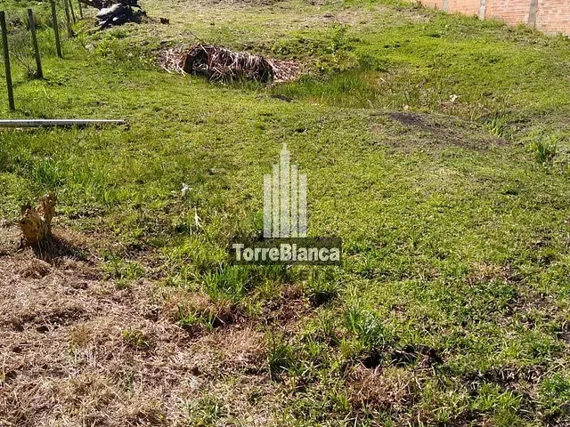 Terreno com 630m², à venda, no bairro Cará-Cará em Ponta Grossa