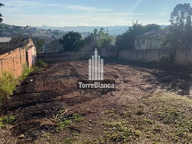 Terreno com 462m², à venda, no bairro Oficinas em Ponta Grossa