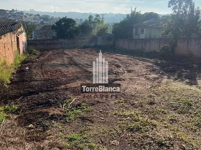 Terreno com 462m², à venda, no bairro Oficinas em Ponta Grossa