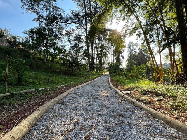 Terreno com 141m², à venda, no bairro Parque Alexandre em Cotia