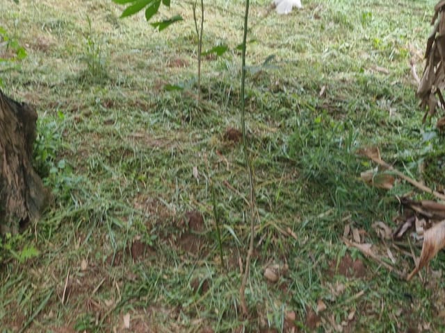 Terreno com 1000m², à venda, no bairro Três Montanhas em Osasco