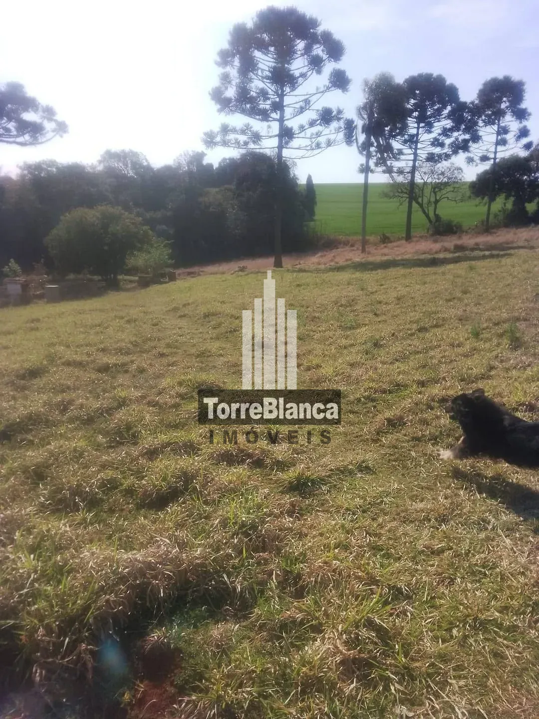 Terreno, 1 hectares - Foto 1