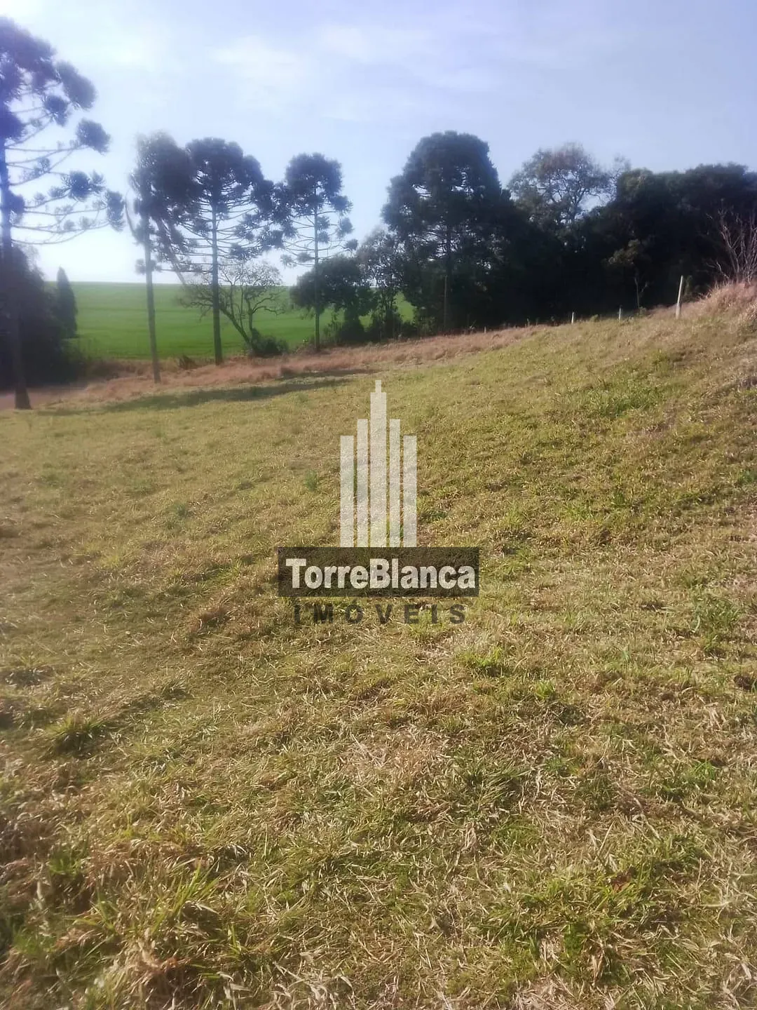 Terreno, 1 hectares - Foto 2